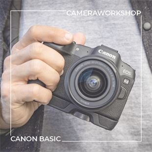 P&M N452 Workshop Canon Basic