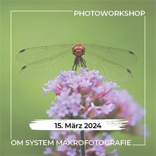 Workshop N496 OM System Makrofotografie