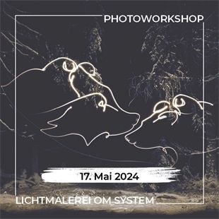 Workshop N501 Lichtmalerei OM System (Olympus)