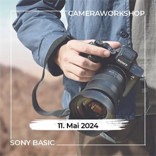 Workshop N504 Sony Basic